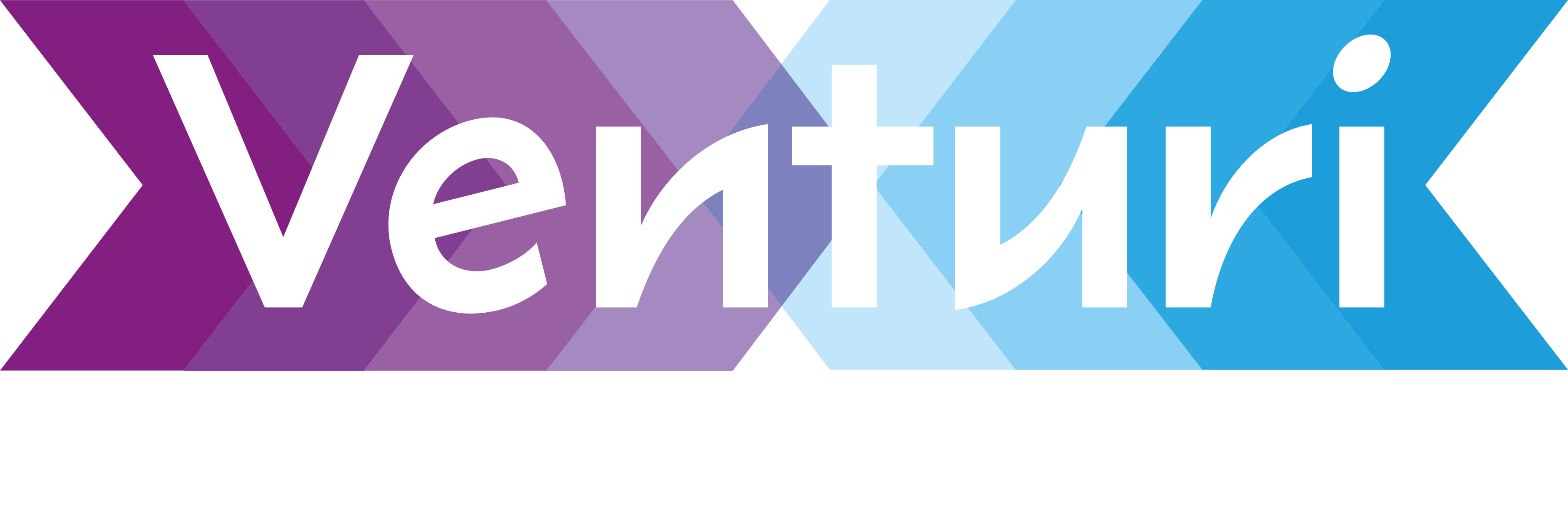 Venturi DEF_rgb-wit